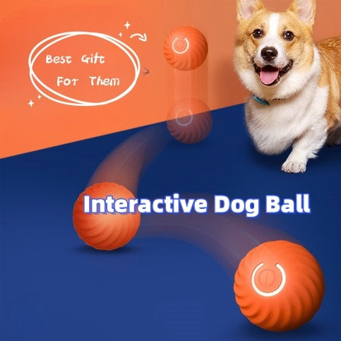 Jumping Gravity Ball