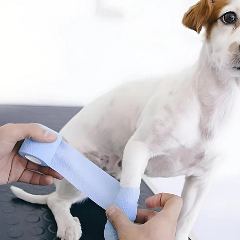 PawWrap Bandage
