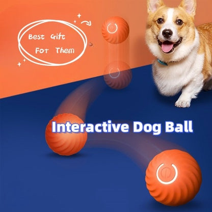 Jumping Gravity Ball